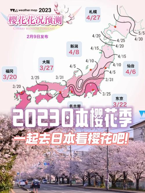 快速了解樱花官网官方入门网站2023的全面指南