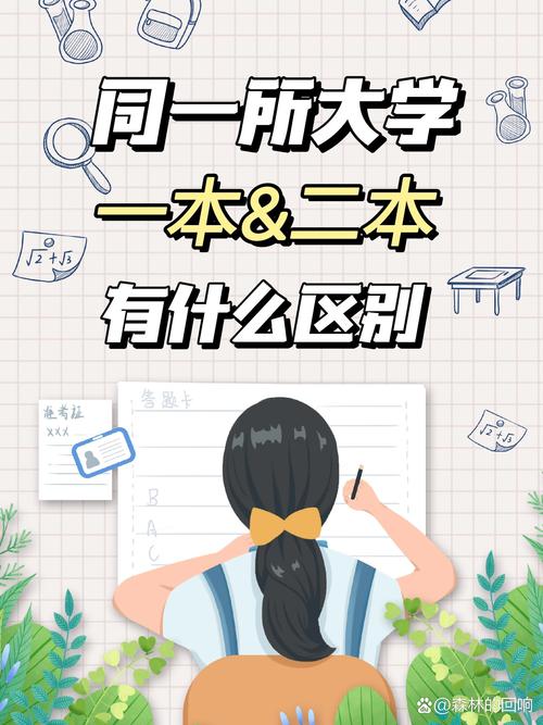 一本大道与二本大道的区别，网友：看完后我才明白！