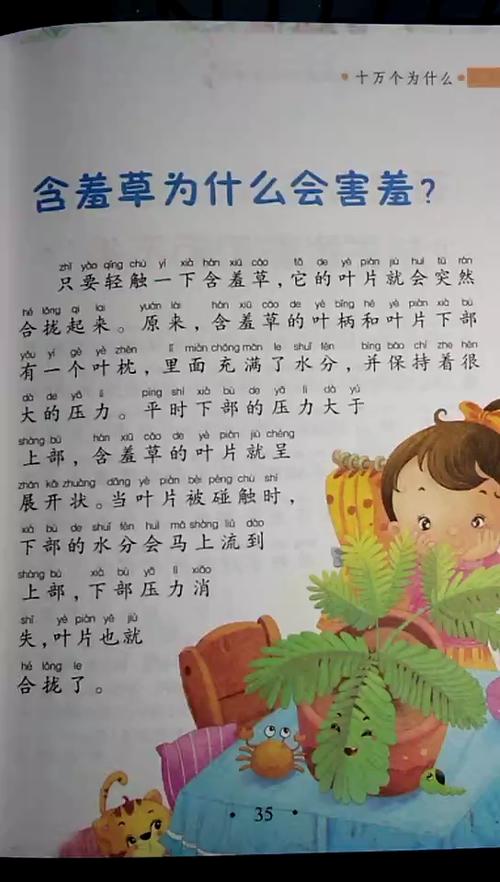 内容丰富含羞草免费观看电视剧背景故事，呈现温情与奋斗的交汇