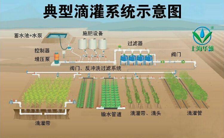 探讨“优质灌溉系统唐宁”的创新与可持续性