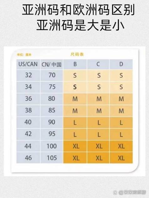  欧亚专线欧洲s码wmysnh48：探索国际物流的新趋势