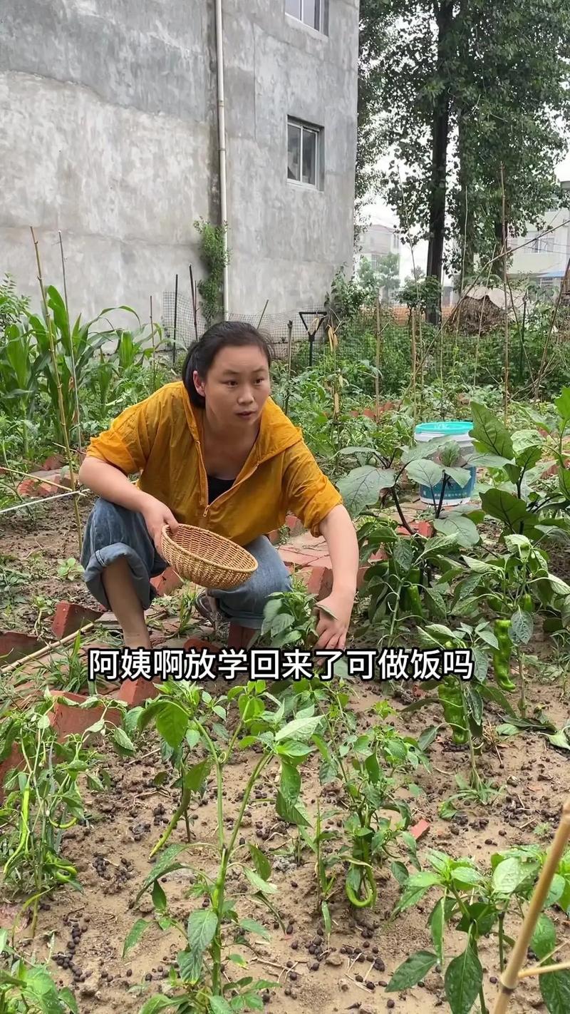 饥饿的阿姨5需要灭火：解决危机的紧急行动