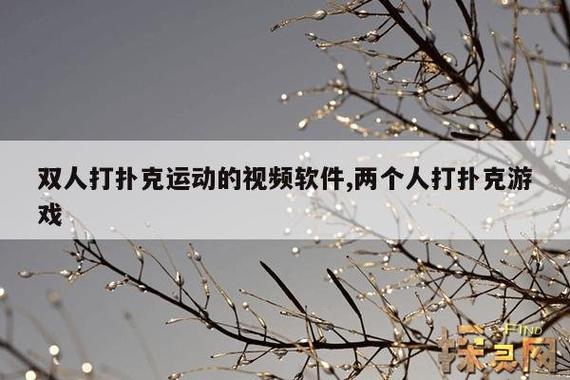 探索“打扑克剧烈运动软件视频”：结合娱乐与锻炼的新方式