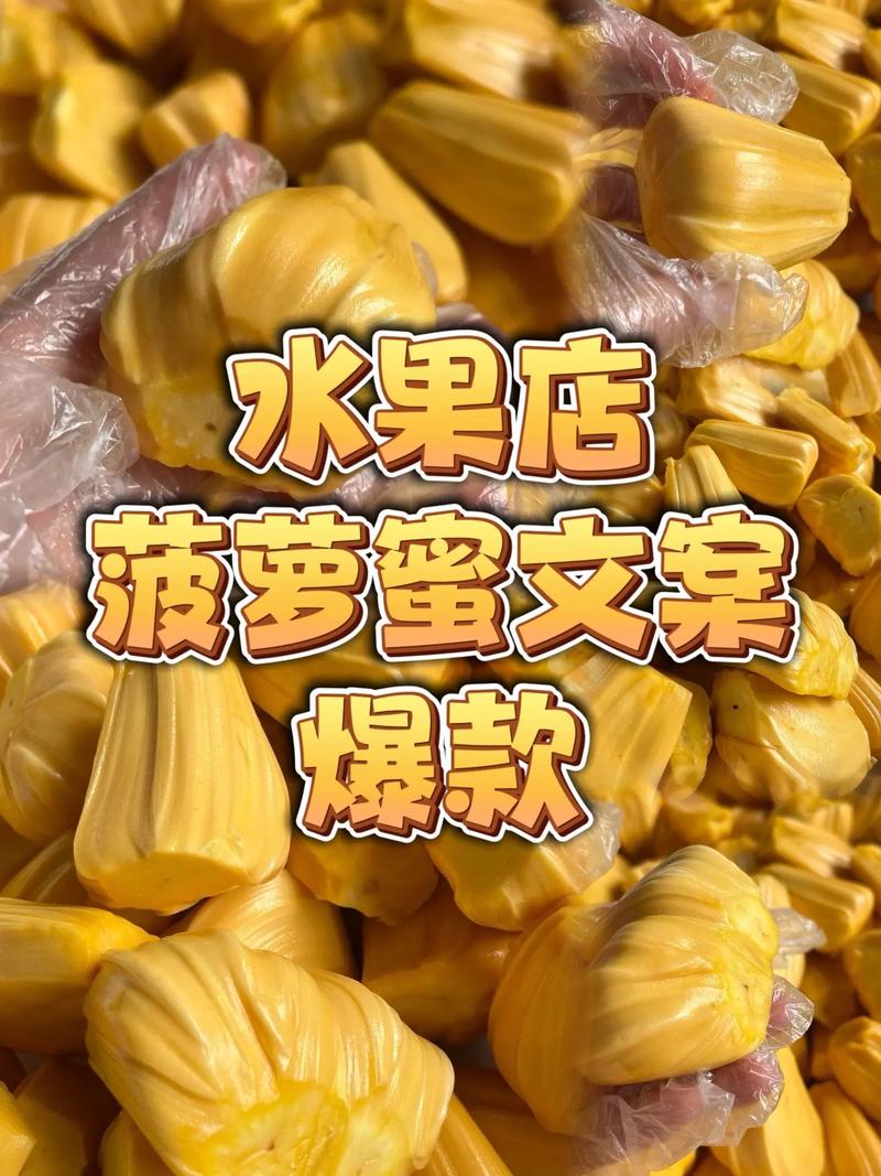 菠萝蜜app视频入口，网友：探索新视界的乐趣