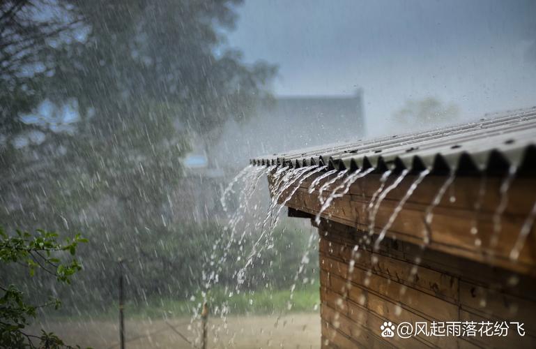  追寻梦想的艰辛：陪读晚上翻雨覆雨的背景故事