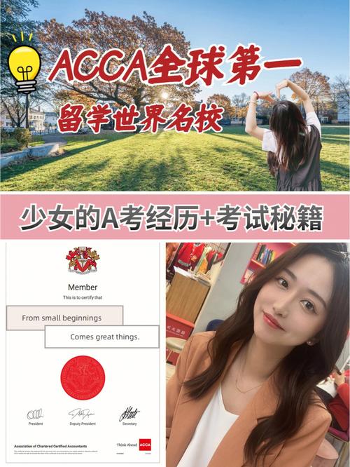 深入探讨 ACCA少女课视频：财务学习的新风潮