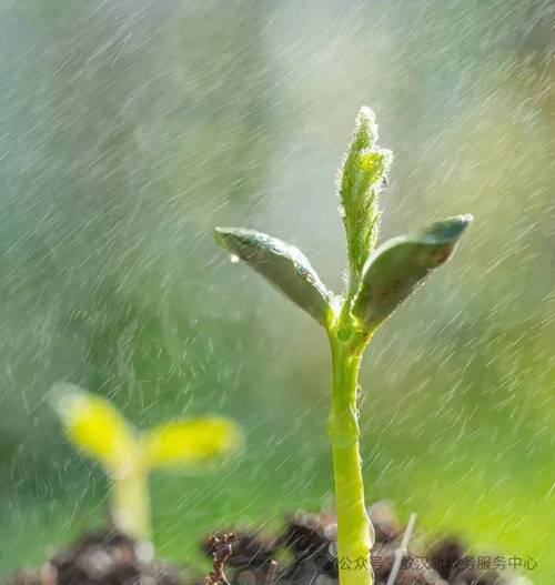 春雨可约可空降，网友热议春天气息