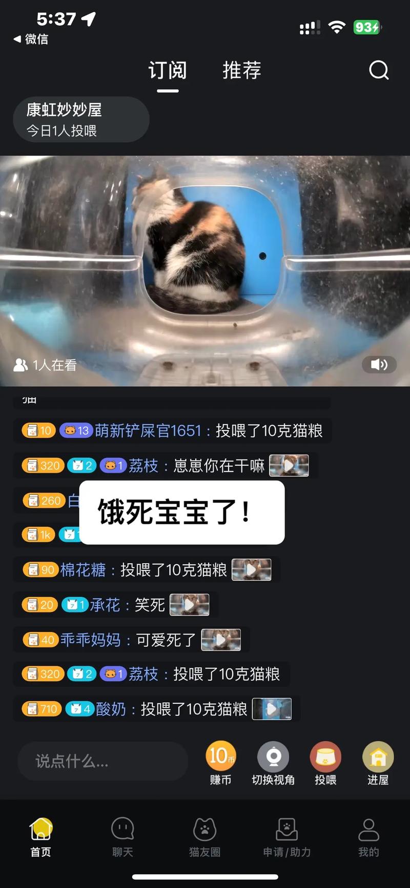 探索小猫直播App：连接你我，共享精彩瞬间