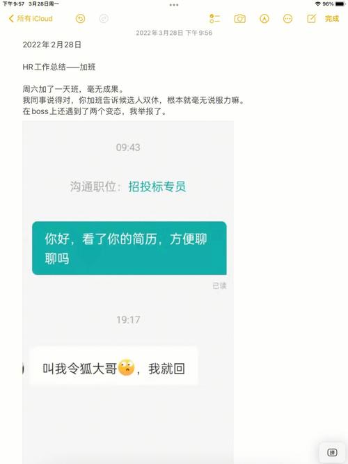  职场与家庭的两难选择：瞒着老公加班的HR中字