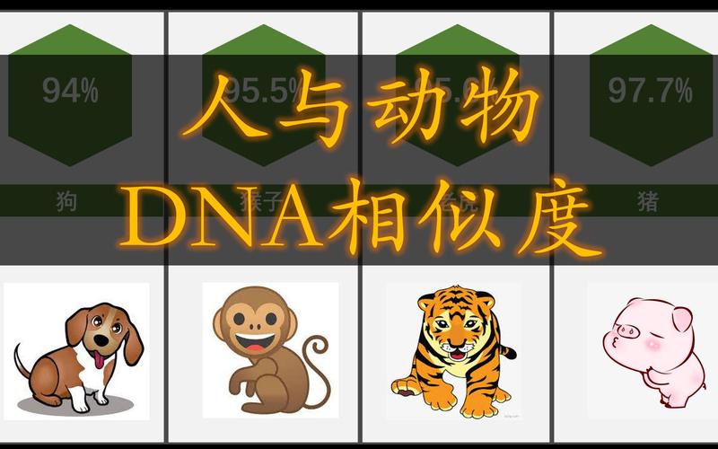 兽人DNA与人类DNA有多相似，网友：我们都是“类人”！