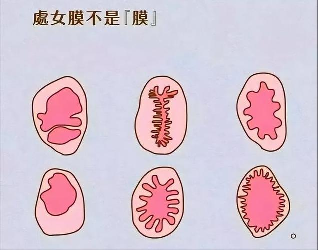 精彩纷呈的处破女处破全过第一次