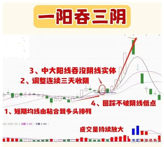  一阳吞三阴指什么服务：解读现代健康管理新模式